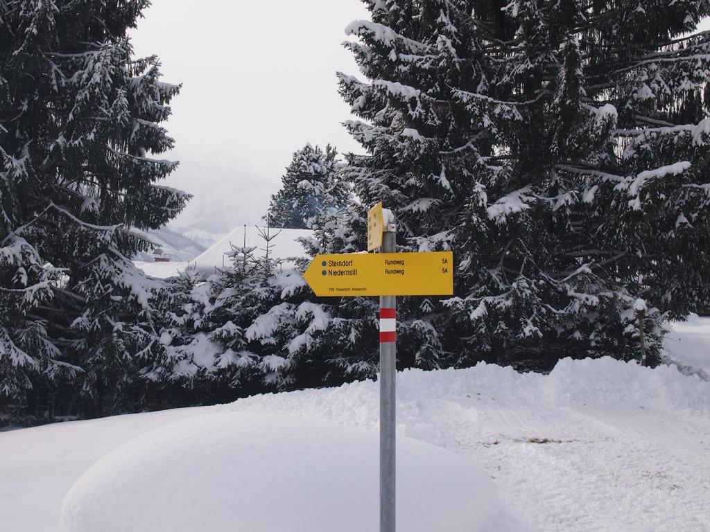Chalet Sonnberg Niedernsill Extérieur photo
